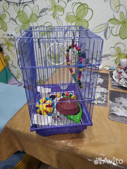 Клетка для попугая