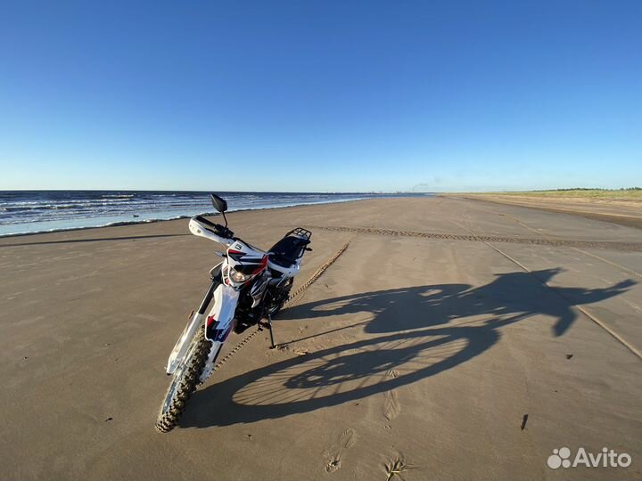 Racer pantera 250