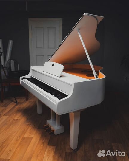 Цифровой рояль. Рояль на заказ
