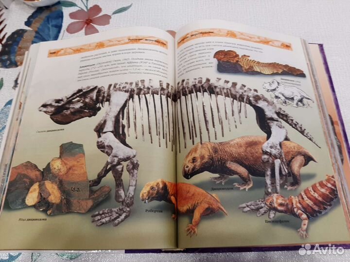 Энциклопедия для детей и взрослых