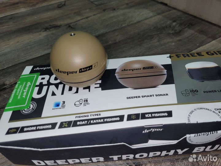 Эхолот в аренду