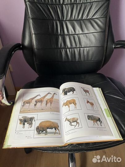 Книга Альфред Брем Жизнь животных