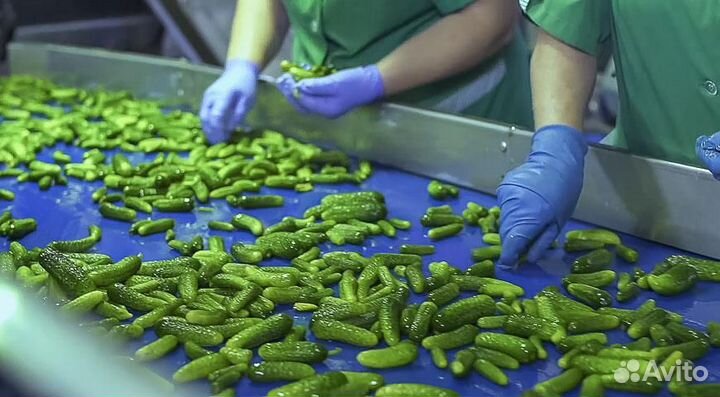 Укладчик-упаковщик / Вахта