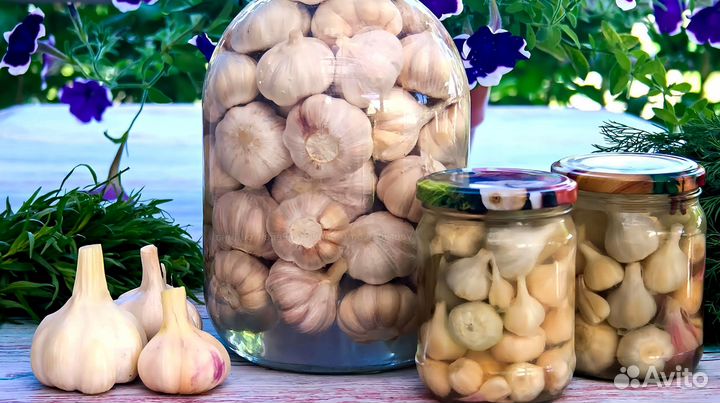 Маринованный чеснок оптом с доставкой