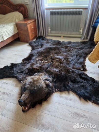 Имитация медведя