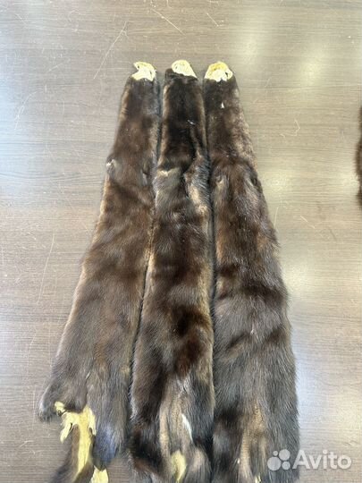 Шкурка животного