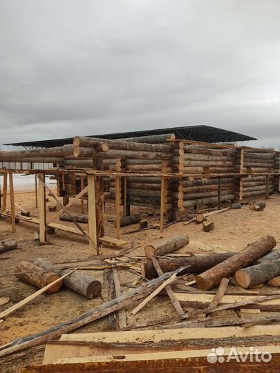 Срубы домов и бань из сосны Кело