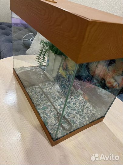 Аквариум+Украшение для аквариума, 30л