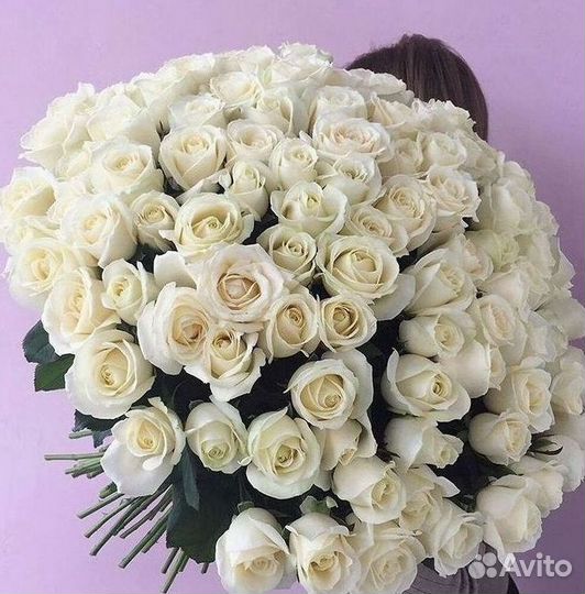 Высокие розы Гигантские розы Доставка цветов