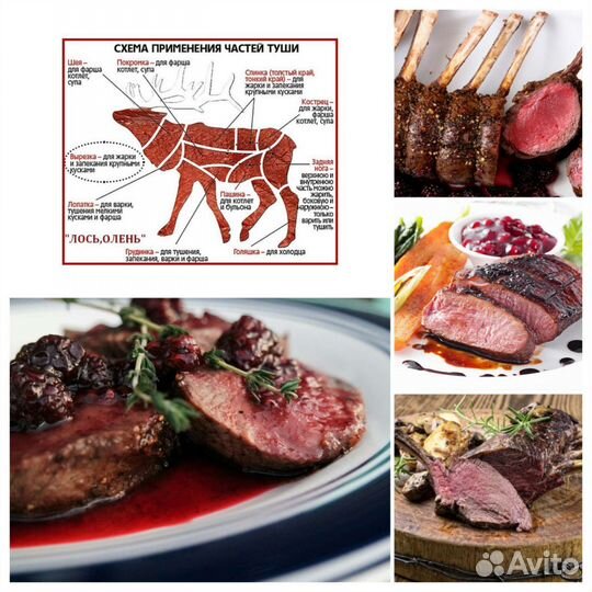 Мясо Оленя, Деликатесы, Тушёнка