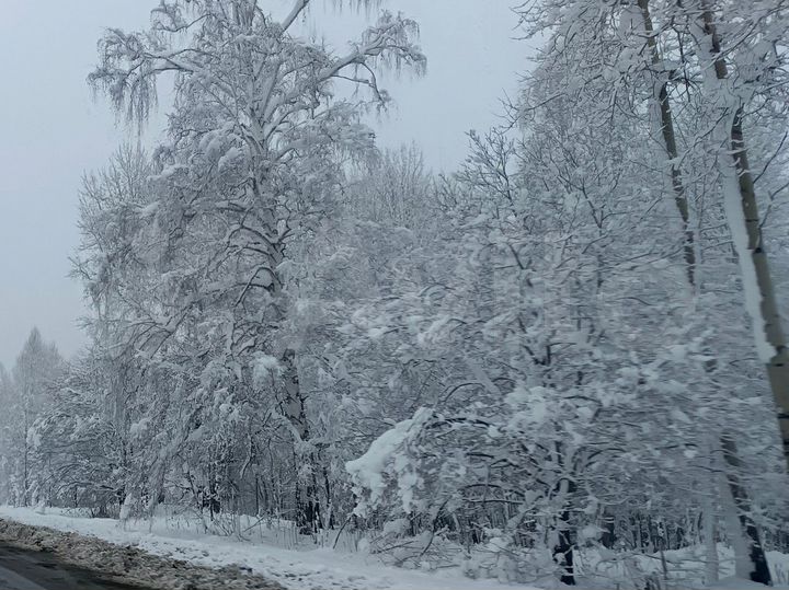 Участок 12,5 сот. (ИЖС)