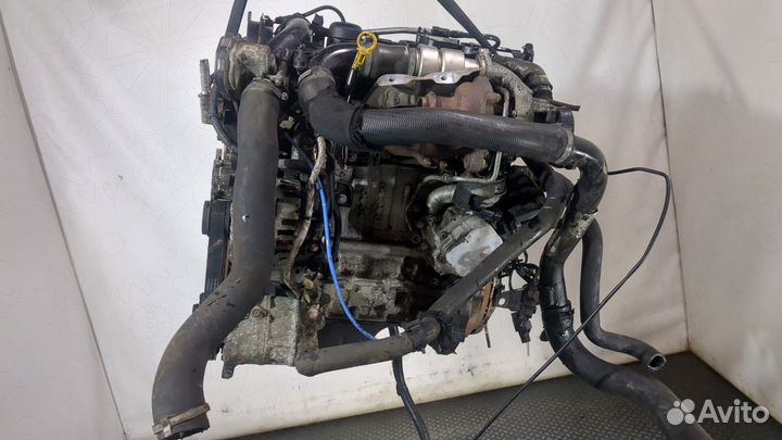 Двигатель Ford Mondeo 4 T1BA, T1BB, T1BC 1.6 Дизель, 2011