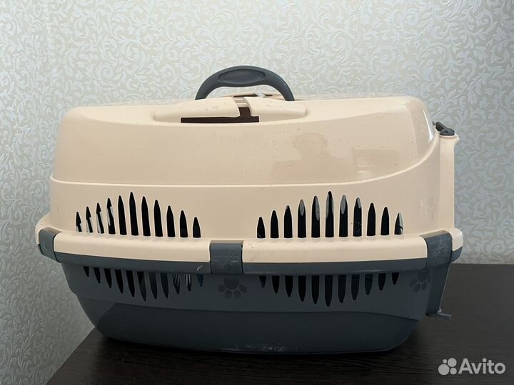 Переноска для животных в аренду