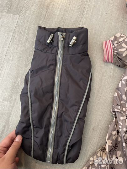 Одежда на маленькую собаку размер S-M