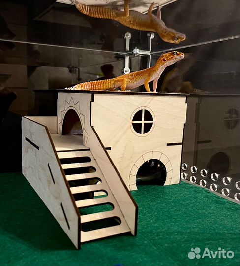 Террариум с замком для эублефара