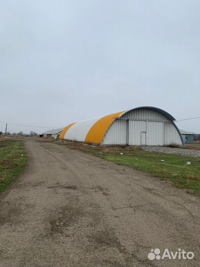 Продажа фермы