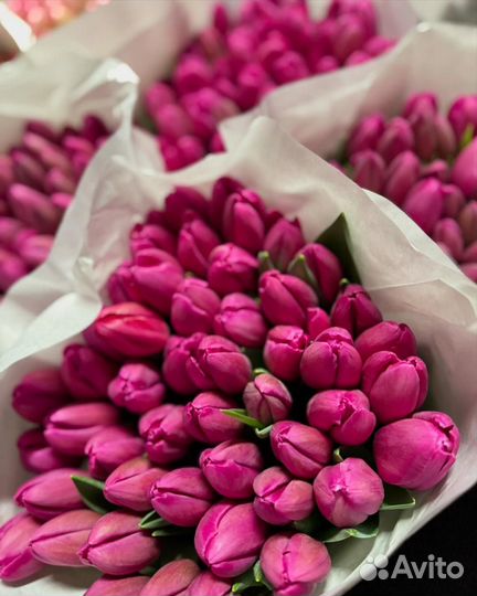 Тюльпаны к 8 марта