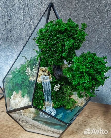 Композиция из стабилизированных растений и мхов