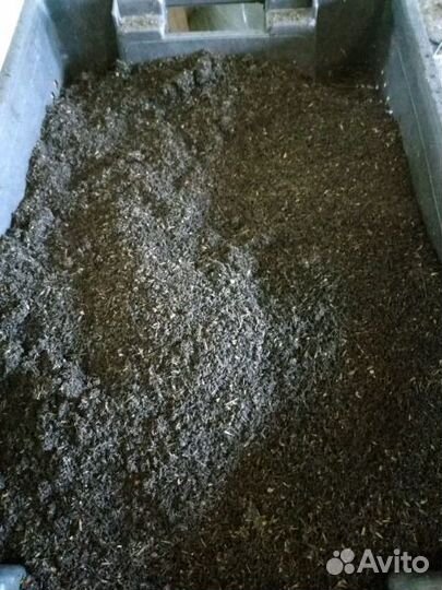 Биогумус (вермикомпост)