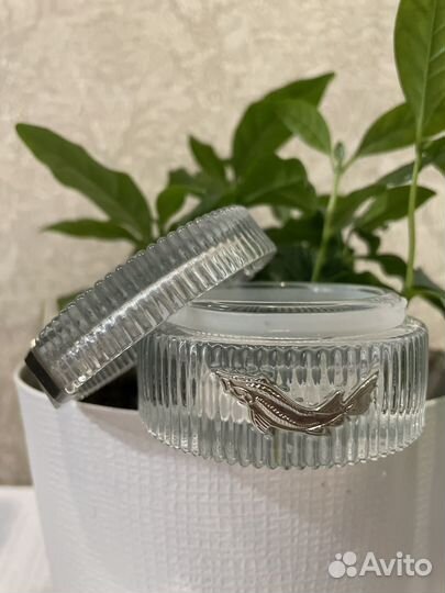 Икорница beluga