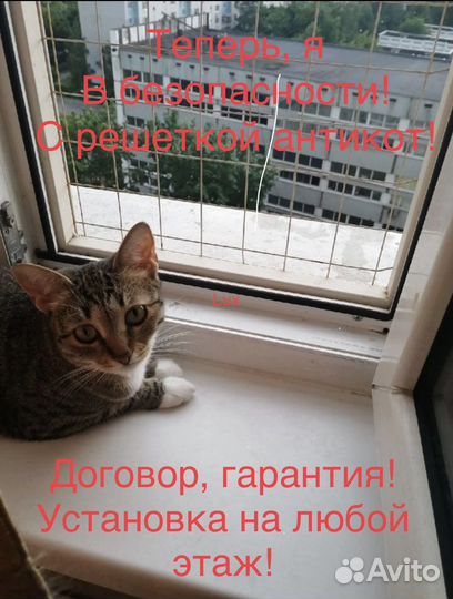 Решетка, сетка. Антикошка