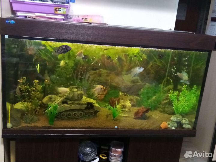 Аквариум