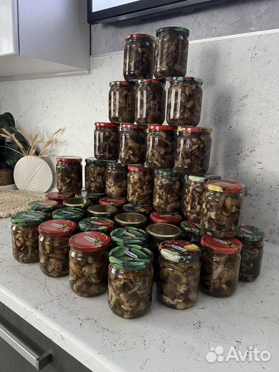 Грибы опята маринованные