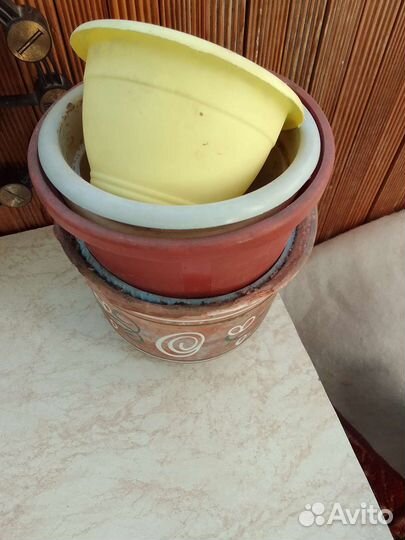 Горшки цветочные 8 шт и 3 ствола