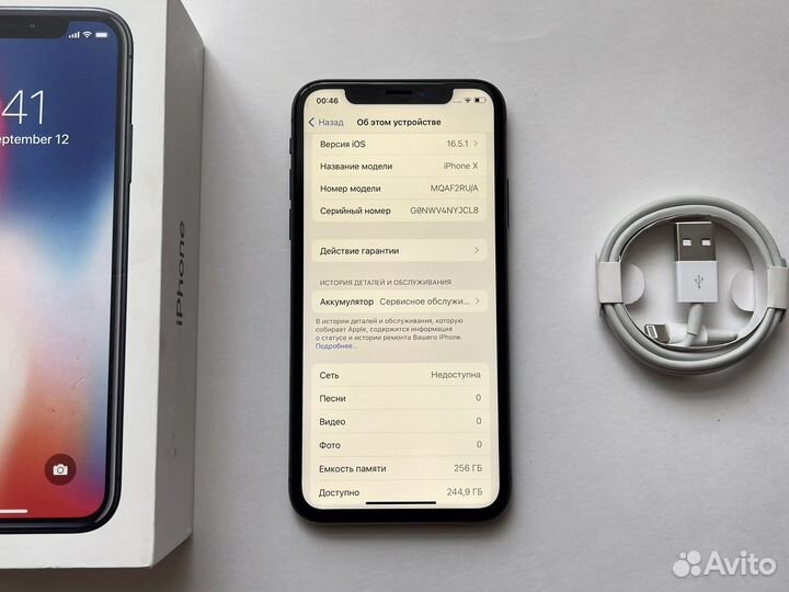 iPhone X (256 gb)