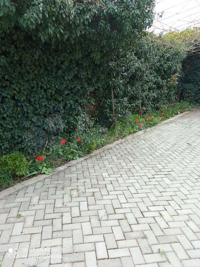 Дом 189 м² на участке 6 сот.