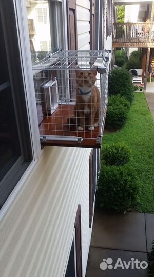 Балкон для кошек