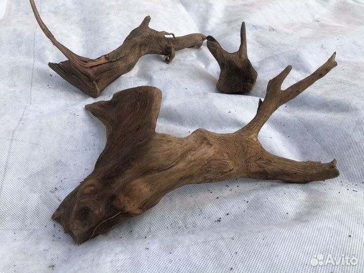 Коряги для аквариума