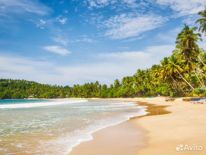 Поездка на Sri-Lanka на 7 нч за двоих человек