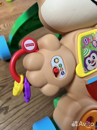 Каталка-ходунки Fisher-Price Ученый Щенок