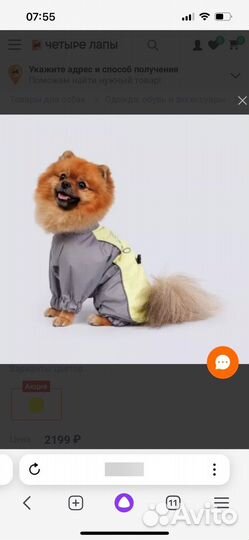 Дождевик для собаки rungo новый