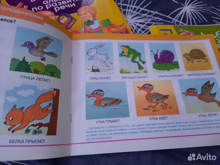 Альбом по развитию речи