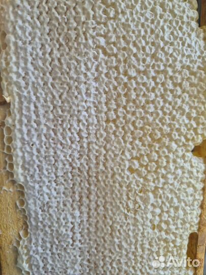 Забрус пчелиный 1кг