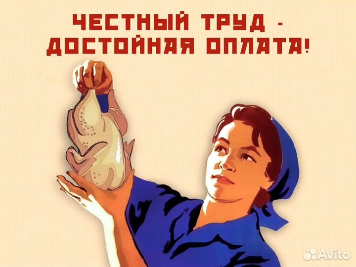 Разнорабочий на птицефабрику