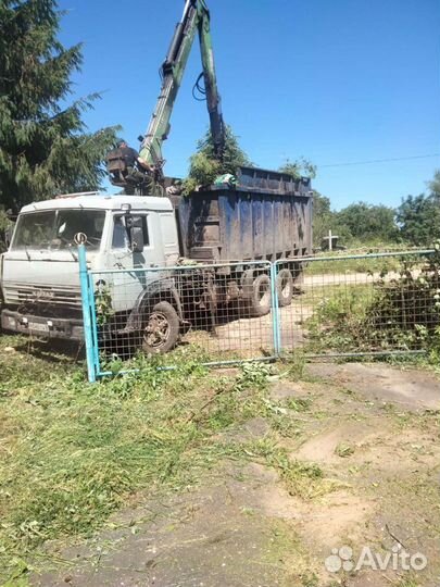 Спил деревьев