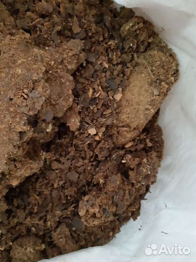 Пасечный воск