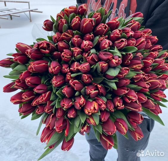 Тюльпаны оптом