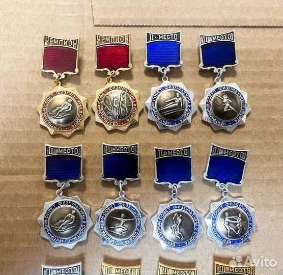 Центральный совет физкультуры и спорта, Люкс