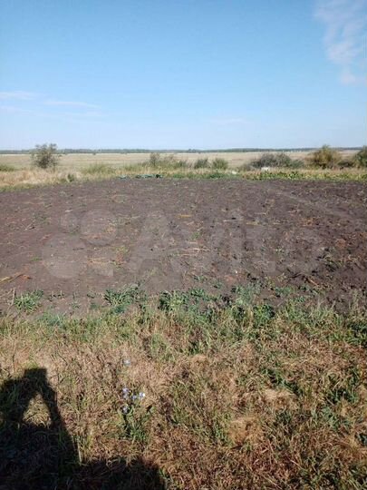 Дом 45,3 м² на участке 12 га