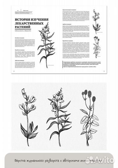 Художник-иллюстратор