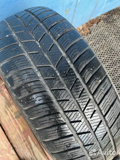 Barum Polaris 5 205/55 R16