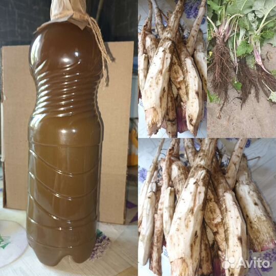 Сто процентов сок корней лопуха