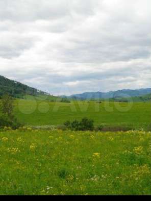 Участок 43,1 га (СНТ, ДНП)