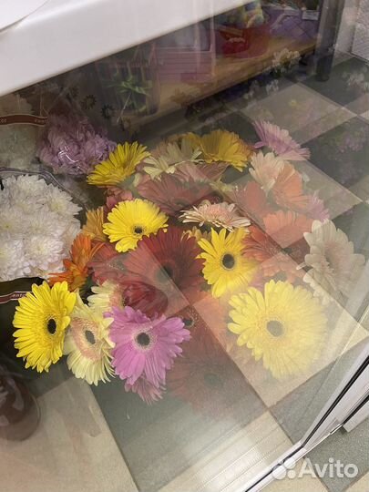 Букеты,цветы,гелиевые шары, 1 сентября