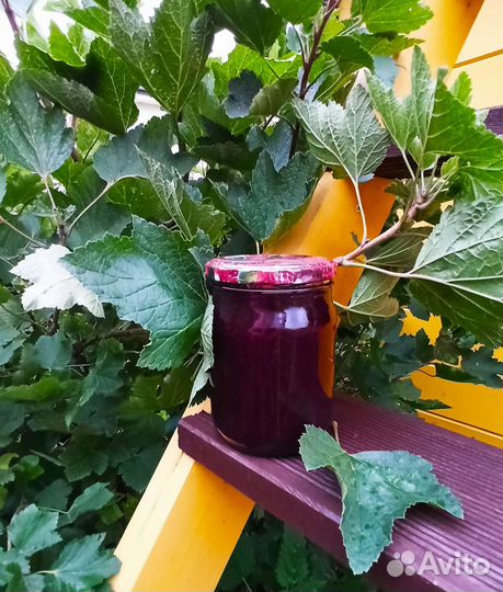 Огурцы соленые и маринованные, варенье