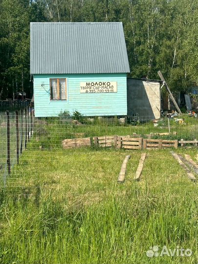 Молоко коровье оптом